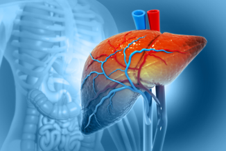 liver